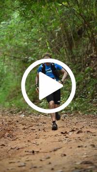 BIB:  <button type="button" onclick="openModal(26805487)" class="btn btn-primary btn-sm float-right" data-toggle="modal" data-target=".modal-high-quality">
                <i class="fa fa-download"></i> Download
                </button>